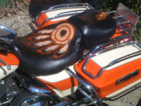 Sitz/Seat "Feathershield Chief" 2/2